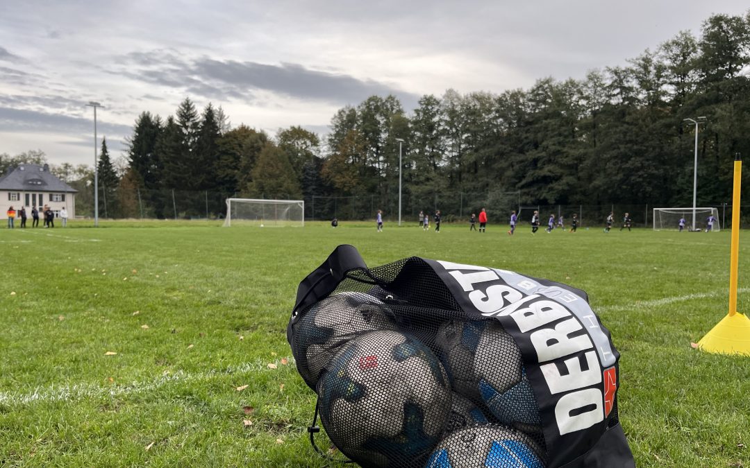 D2 schlägt sich wacker gegen junge Veilchen!