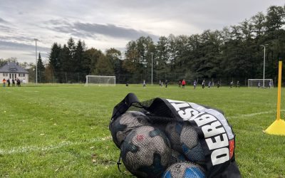 D2 schlägt sich wacker gegen junge Veilchen!